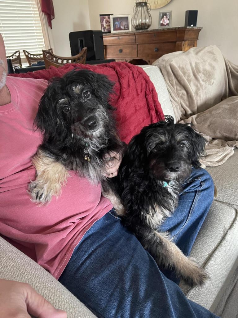 Bailey and Ellie » Dr. Seuzz's Timeline Photos » BaBlahBlah. The