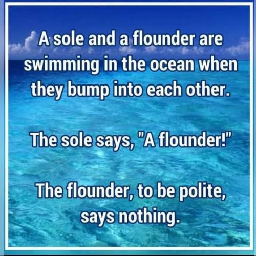 Flounder Bump