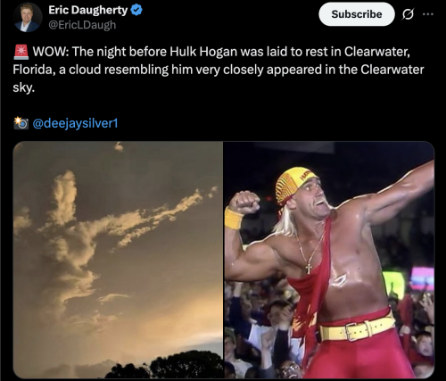 Hulkster