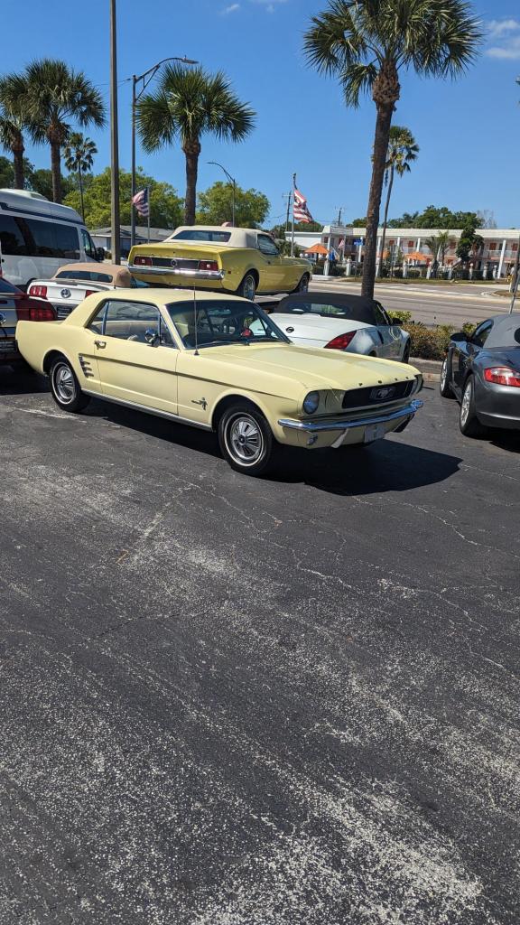 March 28, 2023 » Pocketbook brando's Profile Pictures » BaBlahBlah. The